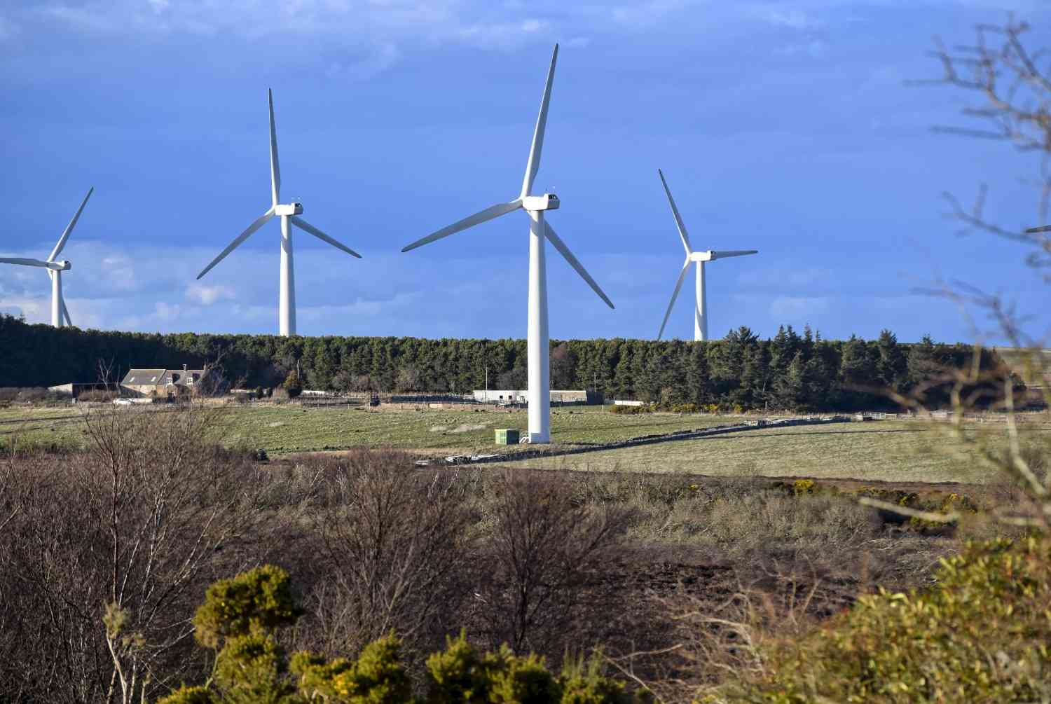 Turbines Services